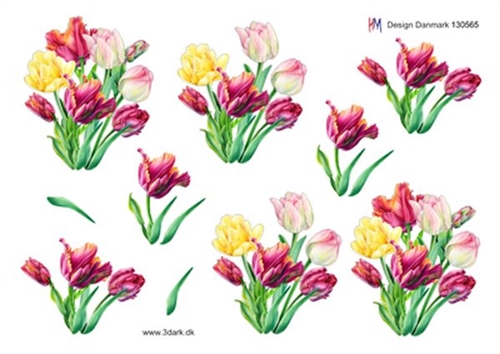 3D Tulipaner